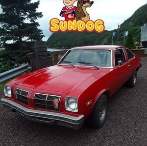 Meet your Posher, Terry